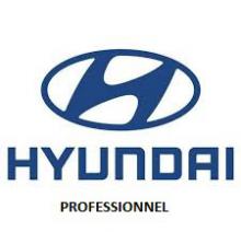 Certificato di conformità Hyundai